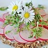 Rose Milk